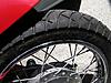 tire.jpg