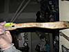 IMG_4913.jpg